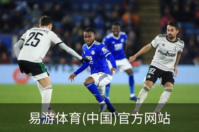 易游体育(中国)官方网站公司简介